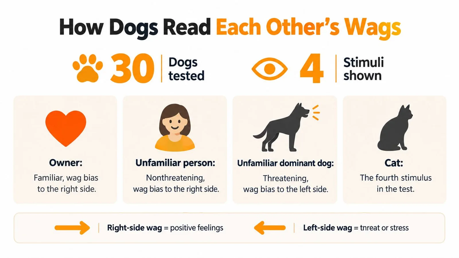 An infographic explaining how dogs interpret tail wags as indicators of different emotions or social threats.