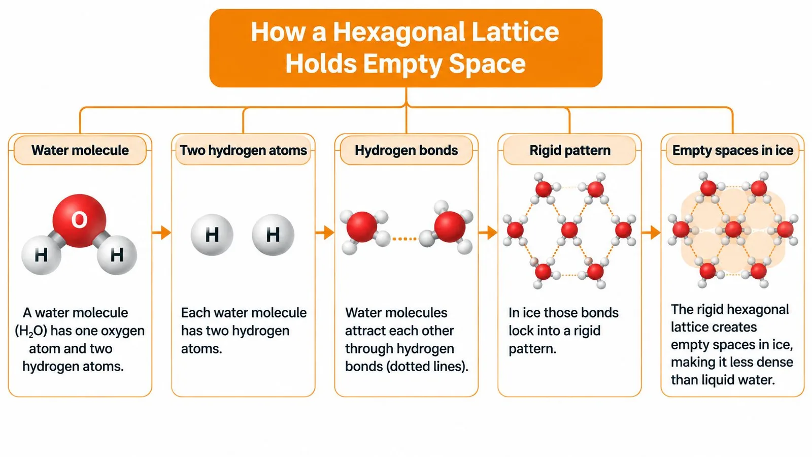 A diagram illustrating how hydrogen bonds between water molecules create a rigid hexagonal lattice structure in ice.