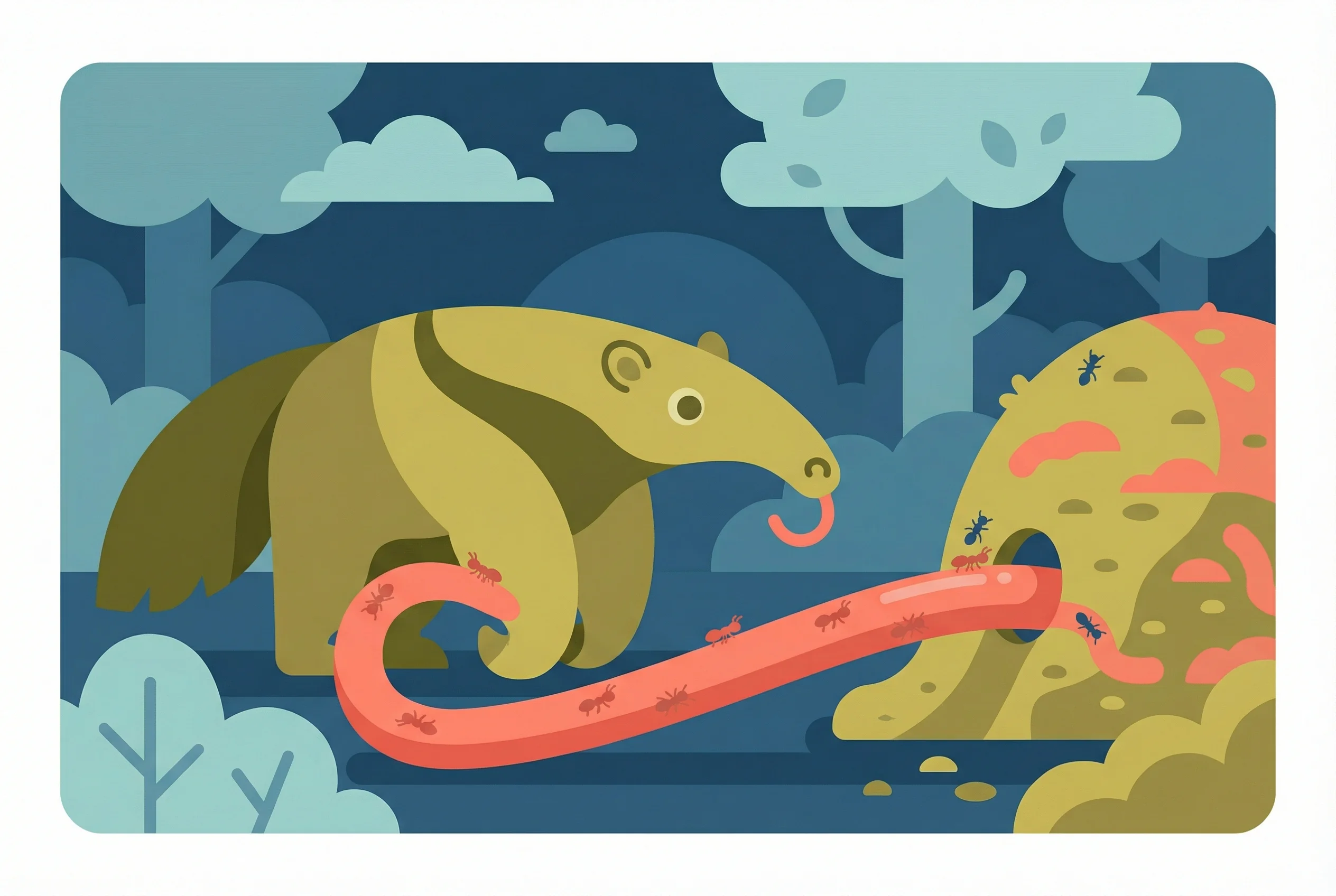 Why do anteaters have long tongues?